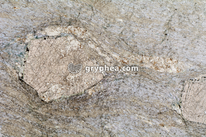 Schiste à grenats et glaucophane LPNA x3,5 - gryphea.com